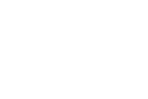 Vincitore Realty